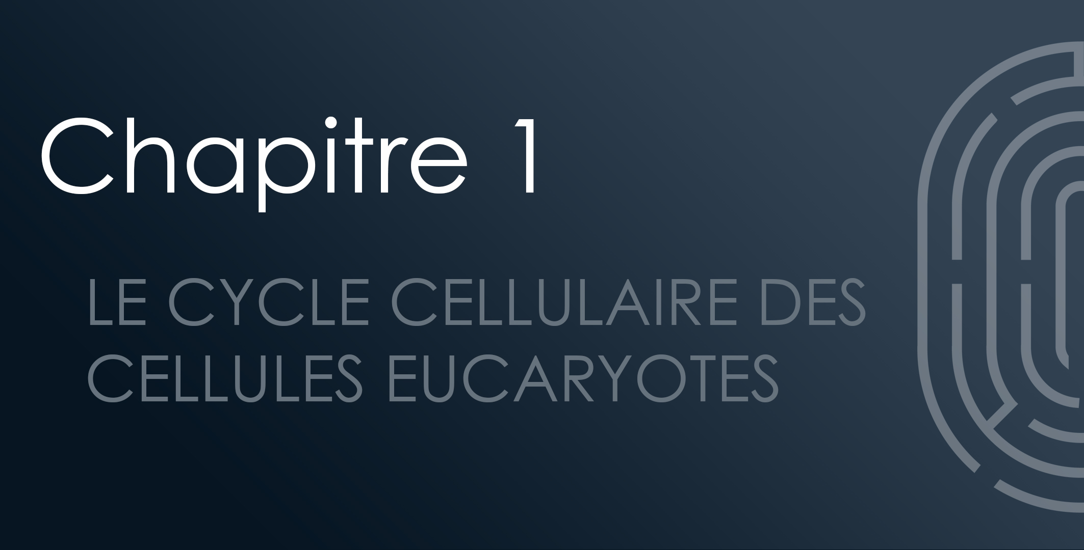 Chapitre 1 : Le cycle cellulaire des cellules eucaryotes
